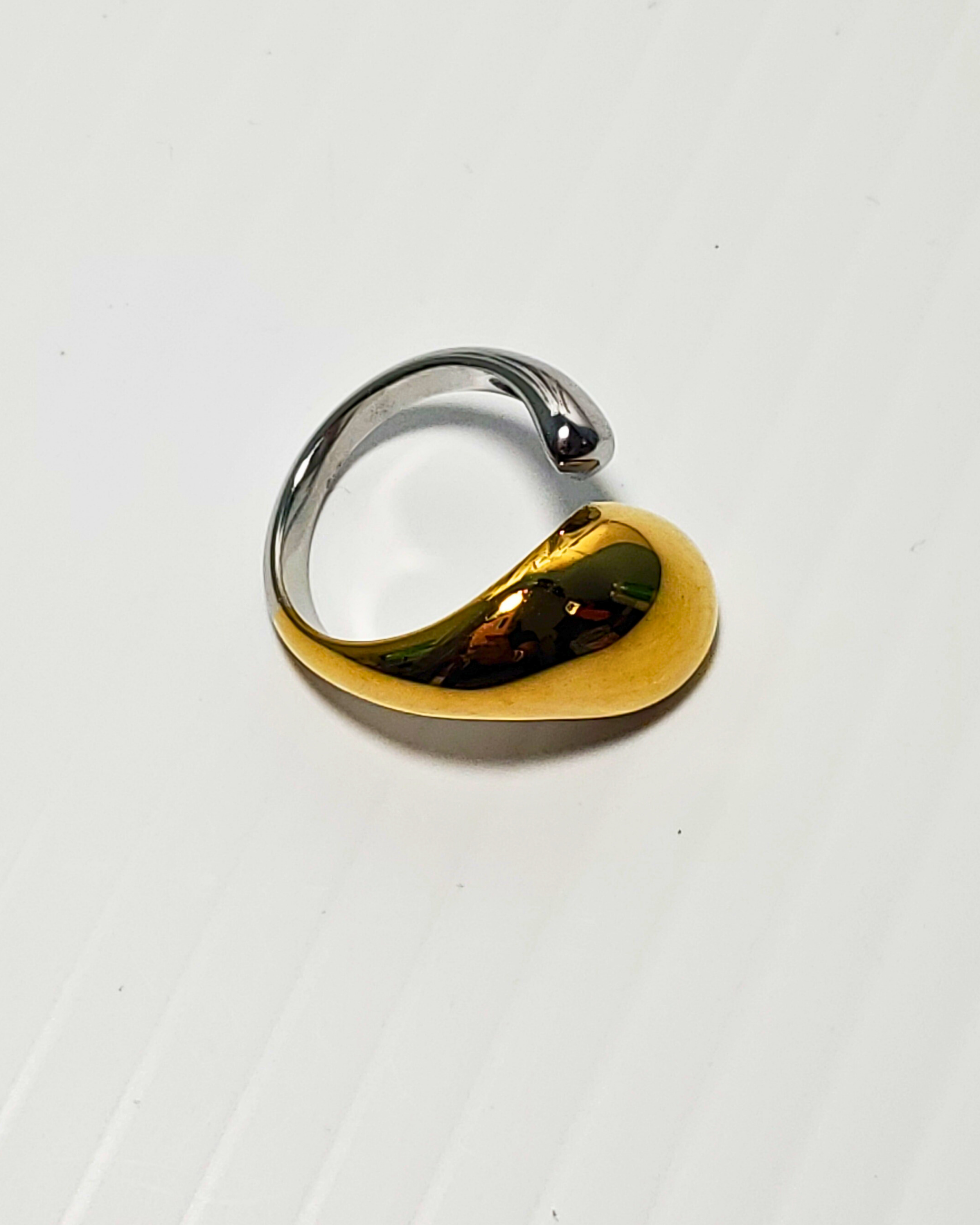 Eternal Ring #5